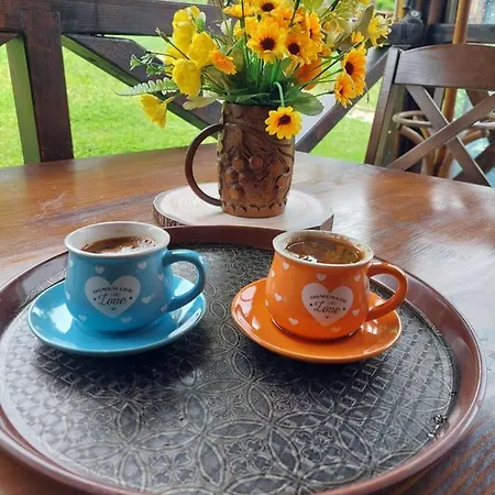 منتجع Palanacka Avlija 3