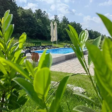 Palanacka Avlija 3 منتجع Ripanj